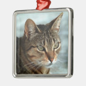 Verbluffende tabby Cat Close Artistic Portrait Metalen Ornament (Links)