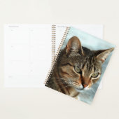 Verbluffende tabby Cat Close Artistic Portrait Planner (Display)