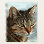 Verbluffende tabby Cat Close Artistic Portrait Planner (Voorkant)