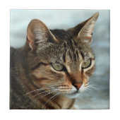 Verbluffende tabby Cat Close Artistic Portrait Tegeltje (Voorkant)