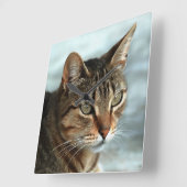 Verbluffende tabby Cat Close Artistic Portrait Vierkante Klok (Hoek)