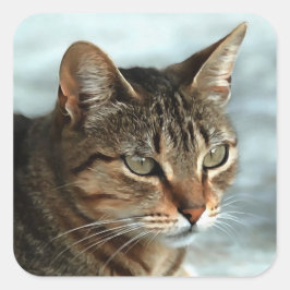 Verbluffende tabby Cat Close Artistic Portrait Vierkante Sticker