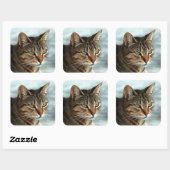 Verbluffende tabby Cat Close Artistic Portrait Vierkante Sticker (Vel)