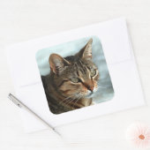Verbluffende tabby Cat Close Artistic Portrait Vierkante Sticker (Envelop)