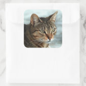 Verbluffende tabby Cat Close Artistic Portrait Vierkante Sticker (Tas)