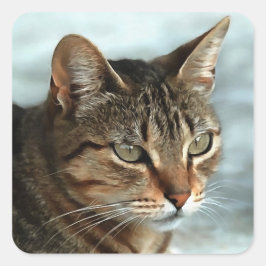Verbluffende tabby Cat Close Artistic Portrait Vierkante Sticker