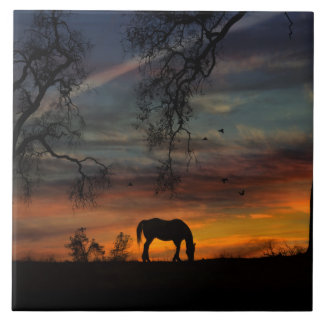 Verbluffende Tegel van de Southwestern Horse Art Tegeltje