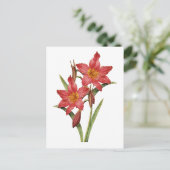 Verbluffende tropische Amaryllis-studie Briefkaart (Staand voorkant)