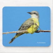 Verbluffende tropische kingbird op Blackberry Bran Muismat (Voorkant)