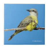 Verbluffende tropische kingbird op Blackberry Bran Tegeltje (Voorkant)