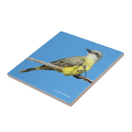 Verbluffende tropische kingbird op Blackberry Bran Tegeltje