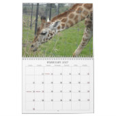 Verbluffende vogels en dieren 2012 kalender (Feb 2027)