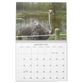 Verbluffende vogels en dieren 2012 kalender (Jan 2027)