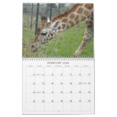 Verbluffende vogels en dieren 2012 kalender (Feb 2026)