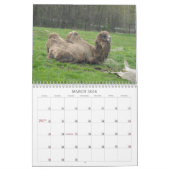 Verbluffende vogels en dieren 2012 kalender (Mar 2026)
