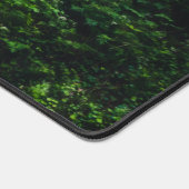 Verbluffende waterval Šum in het magische bos Bureaumat (Hoek)