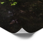 Verbluffende waterval Šum in het magische bos Poster (Hoek)