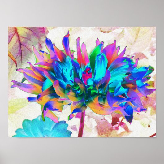 Verbluffende Waterverf regenboog Cactus Dahlia Poster (Voorkant)
