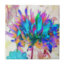 Verbluffende Waterverf regenboog Cactus Dahlia