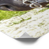 Verbluffende werkpaarden in harnas poster (Hoek)