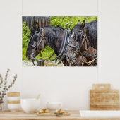Verbluffende werkpaarden in harnas poster (Keuken)