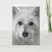Verbluffende Westie Dog - Sorry Kaart (Achterkant)