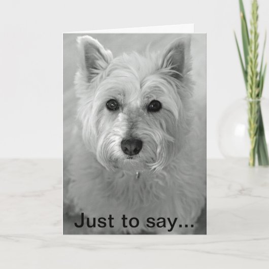Verbluffende Westie Dog - Sorry Kaart (Voorkant)