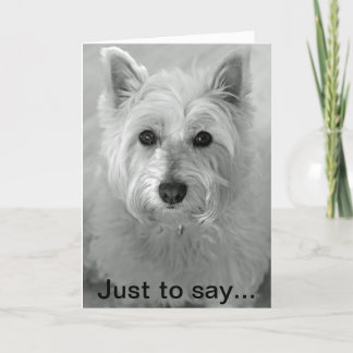 Verbluffende Westie Dog - Sorry Kaart