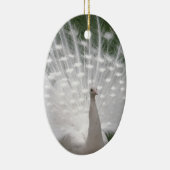 Verbluffende witte peacock (Peafowl) volledige plu Keramisch Ornament (Rechts)