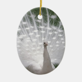 Verbluffende witte peacock (Peafowl) volledige plu Keramisch Ornament