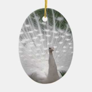 Verbluffende witte peacock (Peafowl) volledige plu Keramisch Ornament