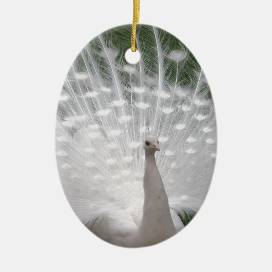 Verbluffende witte peacock (Peafowl) volledige plu Keramisch Ornament (Voorkant)