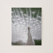 Verbluffende witte peacock (Peafowl) volledige plu Legpuzzel (Verticaal)