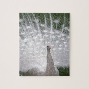 Verbluffende witte peacock (Peafowl) volledige plu Legpuzzel