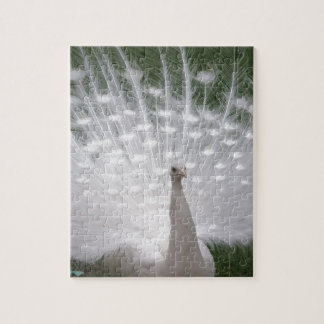 Verbluffende witte peacock (Peafowl) volledige plu Legpuzzel