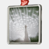 Verbluffende witte peacock (Peafowl) volledige plu Metalen Ornament (Links)