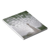 Verbluffende witte peacock (Peafowl) volledige plu Notitieblok (Schuin)