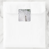 Verbluffende witte peacock (Peafowl) volledige plu Vierkante Sticker (Tas)