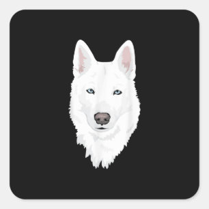 Verbluffende witte Siberiër Husky - zoete witte sn Vierkante Sticker