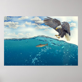 Verbluffende witte staartadelaar die vis aanvalt poster