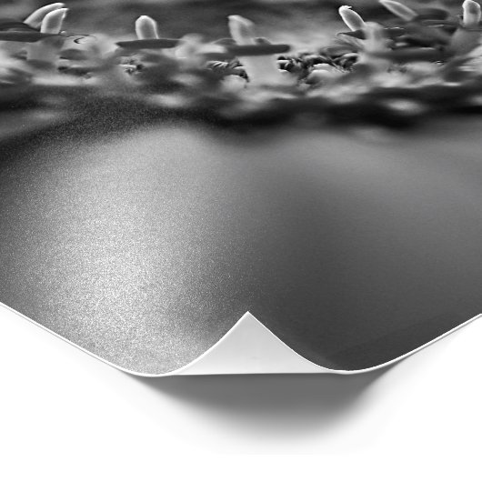 Verbluffende zwarte en witte Floral Macro Foto Afdruk (Hoek)