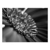 Verbluffende zwarte en witte Floral Macro Foto Afdruk (Voorkant)