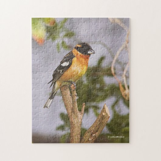 Verbluffende zwarte haarbek-bek-hoes op vertakking legpuzzel (Verticaal)