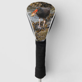 Verbluffende zwarte Oystercatcher met Clam Golfheadcover