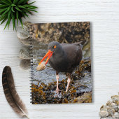 Verbluffende zwarte Oystercatcher met Clam Notitieboek