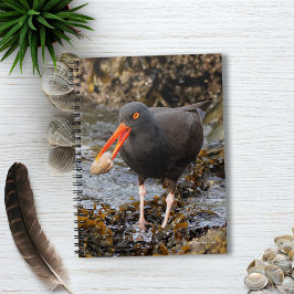 Verbluffende zwarte Oystercatcher met Clam Notitieboek