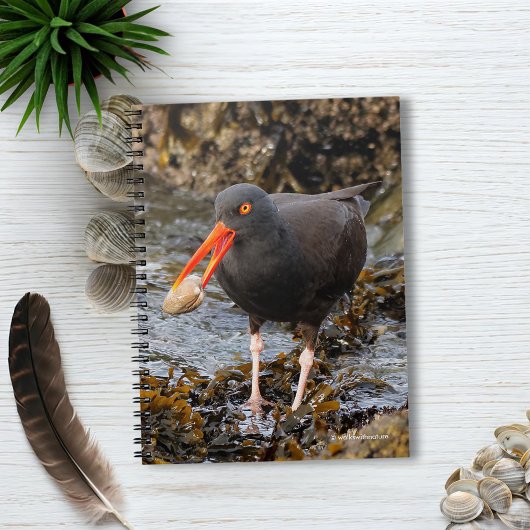 Verbluffende zwarte Oystercatcher met Clam Notitieboek