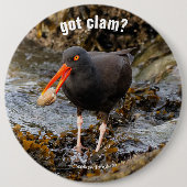 Verbluffende zwarte Oystercatcher met Clam Ronde Button 6,0 Cm (Voorkant)