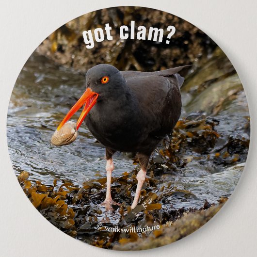 Verbluffende zwarte Oystercatcher met Clam Ronde Button 6,0 Cm (Voorkant)