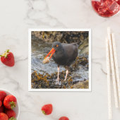 Verbluffende zwarte Oystercatcher met Clam Servet (Insitu)